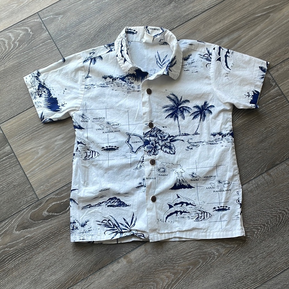 ⭐️4/$20⭐️ Palmwave Hawaii shirt